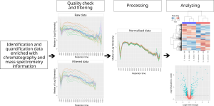 Our R package MCQR is published!